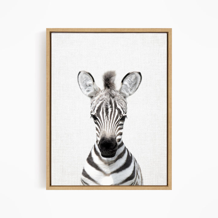 A framed photograph of a zebra's head, with its distinctive black and white striped pattern and large ears, is displayed on a white wall.