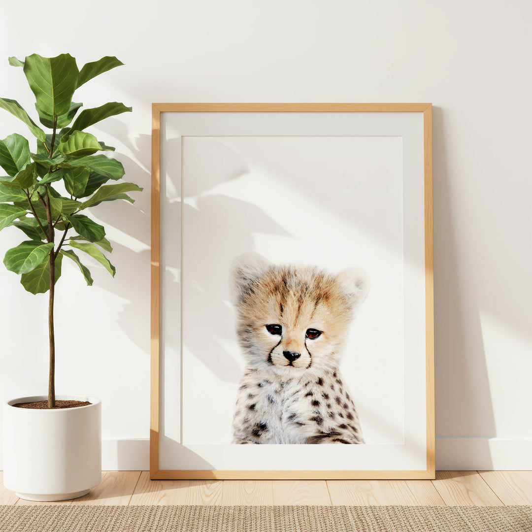 A framed photograph of a young cheetah with a pensive expression is displayed on a white wall, accompanied by a potted plant to the left.