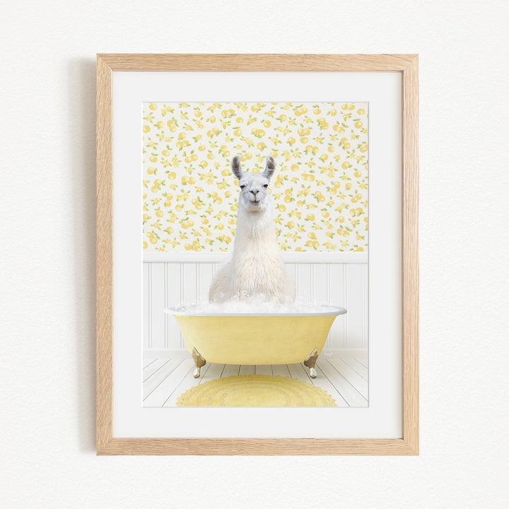 A white llama sitting in a yellow bathtub against a yellow and white floral wallpaper background.