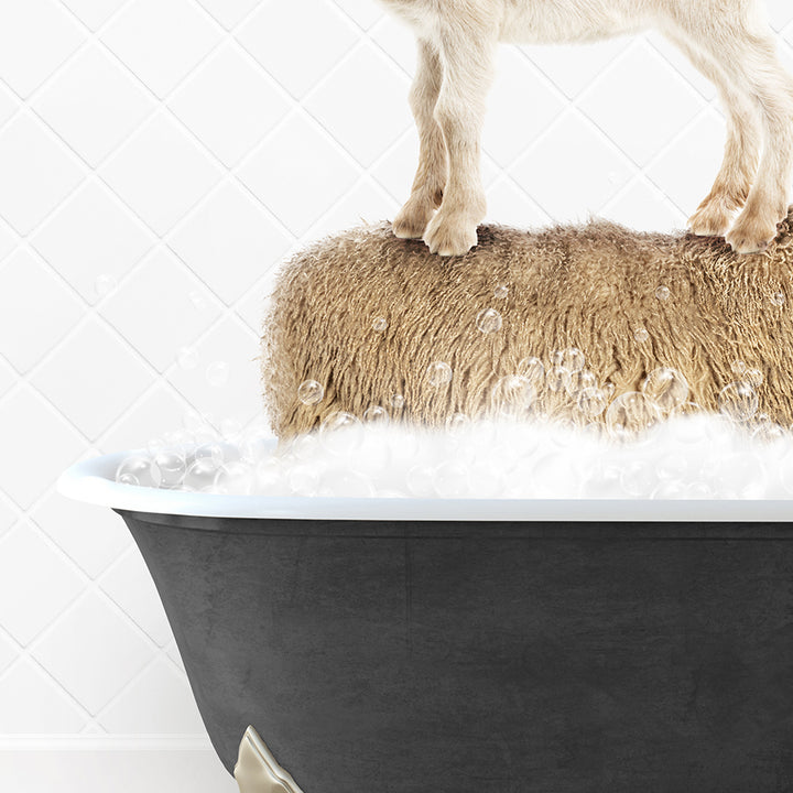 a goat standing on top of a bath tub