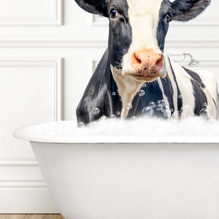 a black and white cow sitting in a bathtub