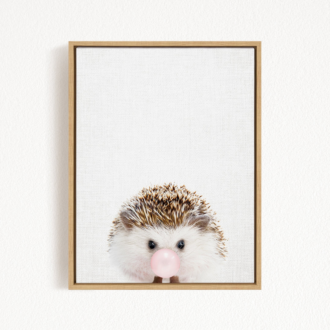 A cute hedgehog with a pink bubblegum bubble in its mouth, looking directly at the camera.