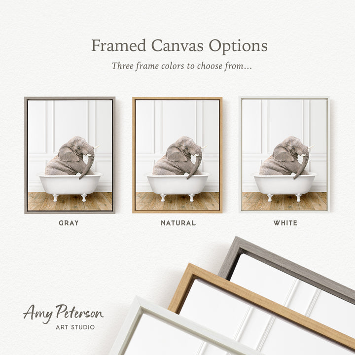 three framed canvas options, each featuring a photograph of an elephant sitting in a bathtub. The options include a gray frame, a natural frame, and a white frame. The text above the images reads " Framed Canvas Options" and "Three frame colors to choose from...".
