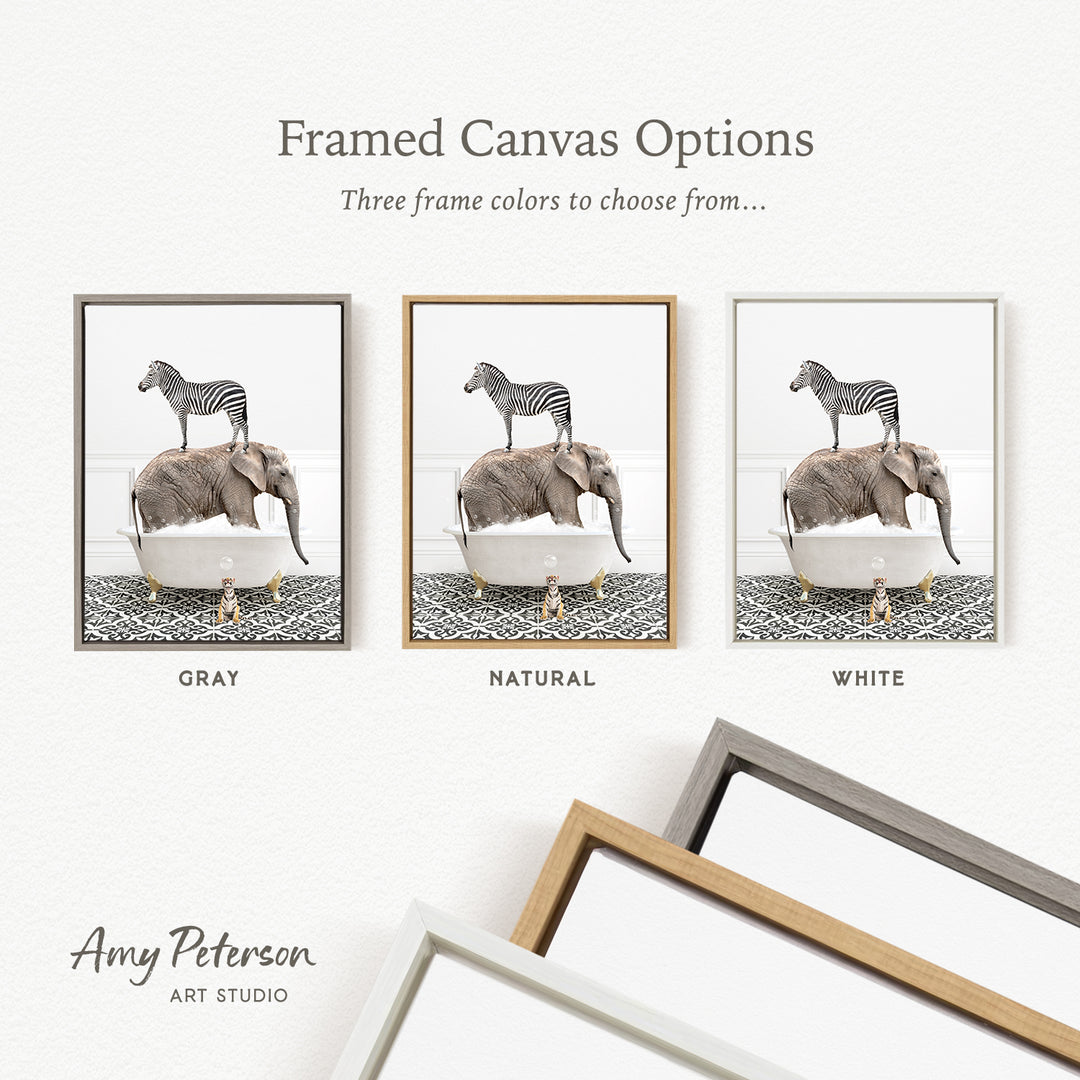 three framed canvas options, each featuring a different color: gray, natural, and white. The text above the images reads " Framed Canvas Options" and "Three frame colors to choose from...". The bottom of the image includes the text " Amy Peterson ART STUDIO".