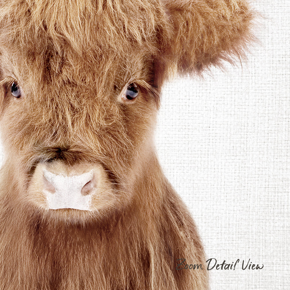 A close-up portrait of a brown cow with a white nose, looking directly at the camera.