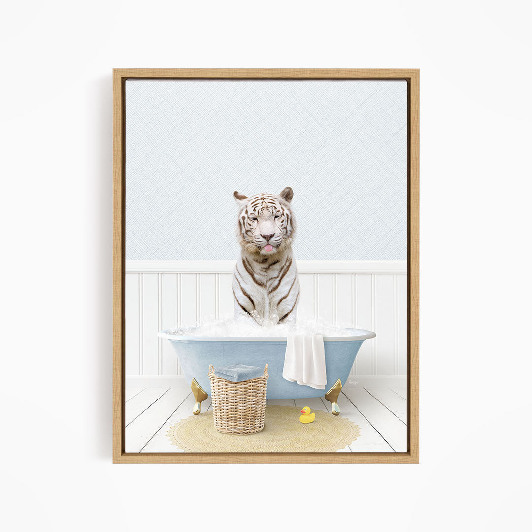 A white tiger is sitting in a blue bathtub filled with water, surrounded by rubber ducks.