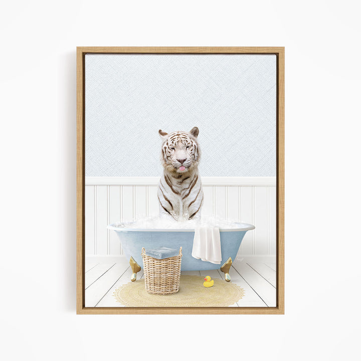 A white tiger is sitting in a blue bathtub filled with water, surrounded by rubber ducks.
