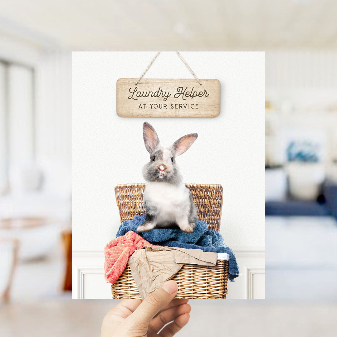 A hand holding a sign that says "Laundry Helper at your service" above a wicker basket containing a gray and white rabbit sitting on a blue blanket.