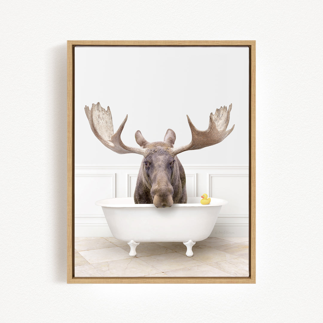 A moose with large antlers is sitting in a white bathtub, with a yellow rubber duck floating in the water.
