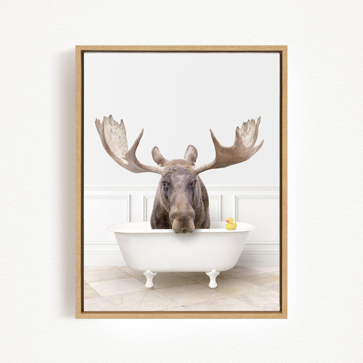 A moose with large antlers is sitting in a white bathtub, with a yellow rubber duck floating in the water.