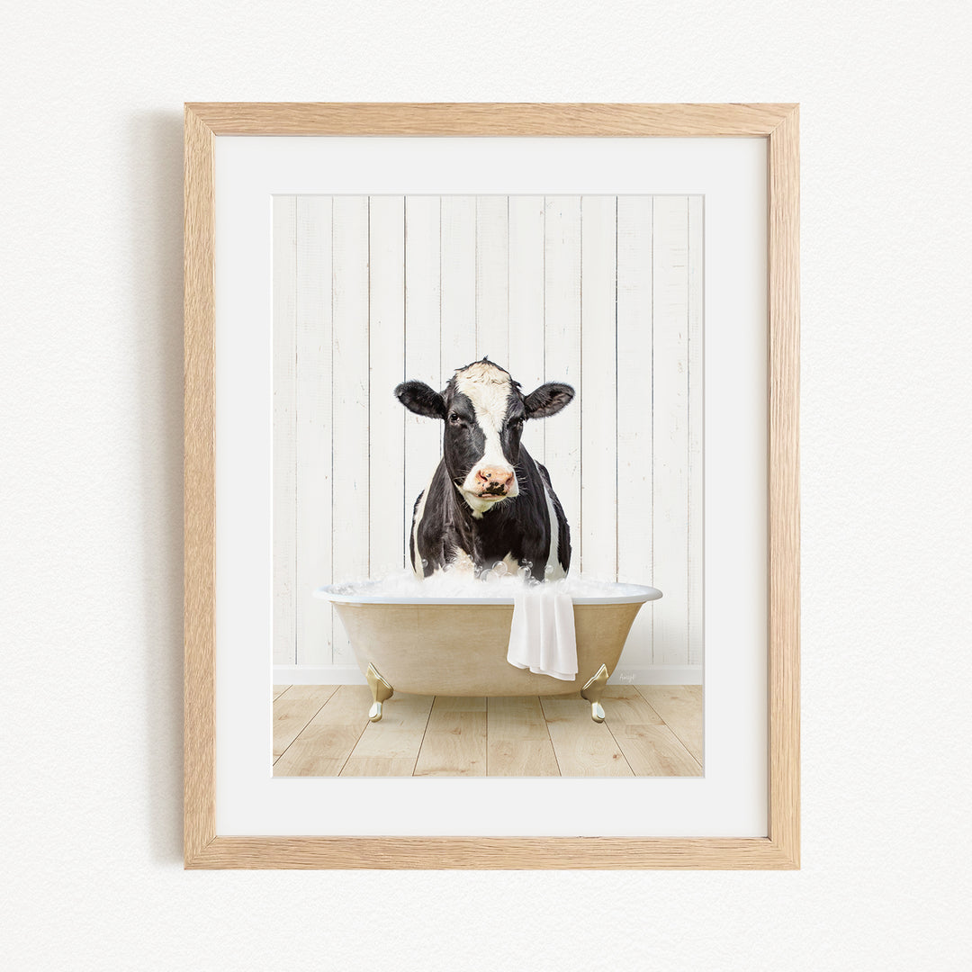 A black and white cow is sitting in a white bathtub, with a towel draped over the side of the tub.