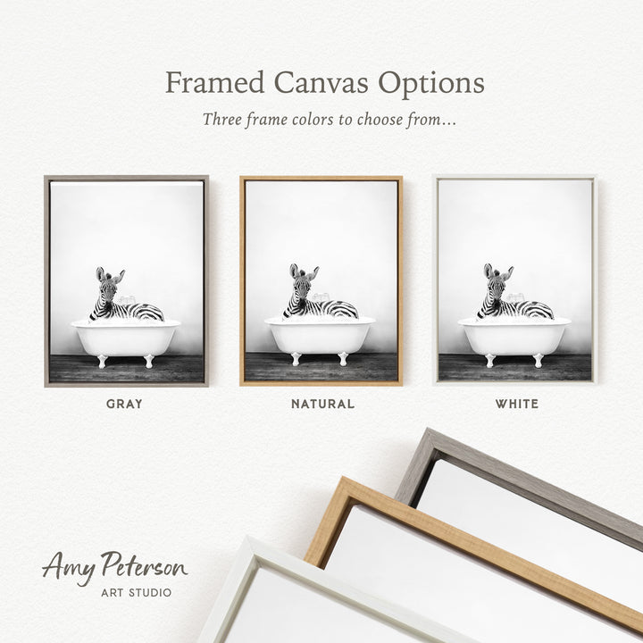three framed canvas options, each featuring a black and white photograph of a zebra sitting in a bathtub. The options include a gray frame, a natural frame, and a white frame.