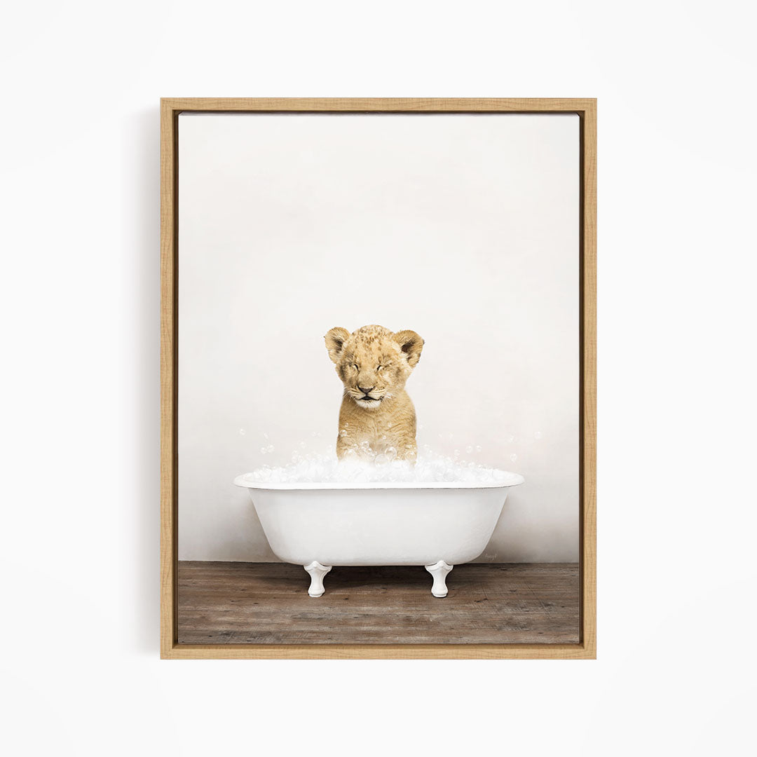 A young lion cub sitting in a white bathtub filled with water, looking up at the camera.
