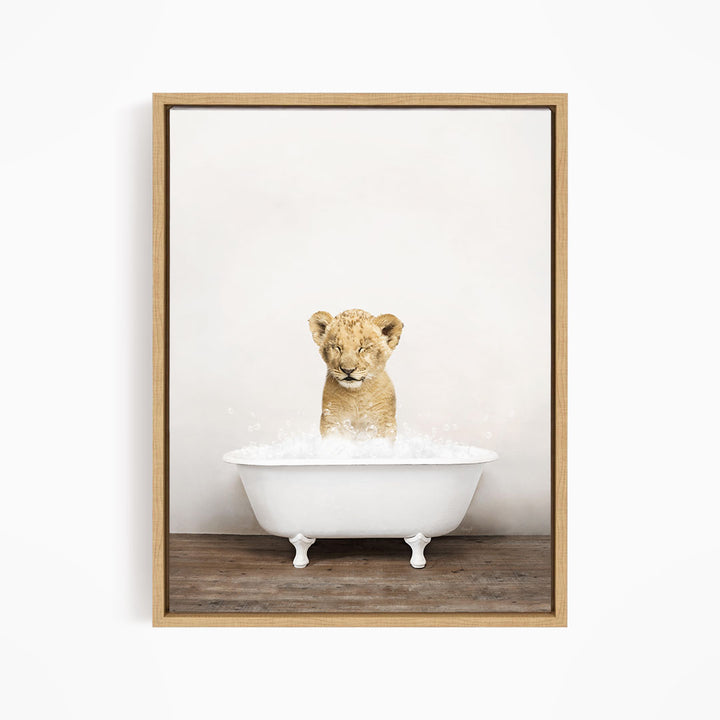 A young lion cub sitting in a white bathtub filled with water, looking up at the camera.