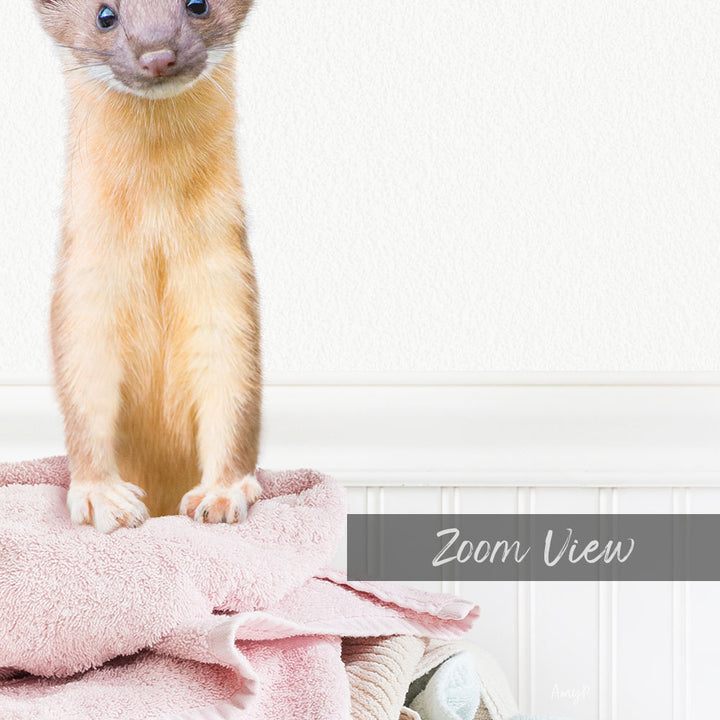 A small brown cat sitting on a pink towel, with a white wall and a text overlay that reads "Zoom View".