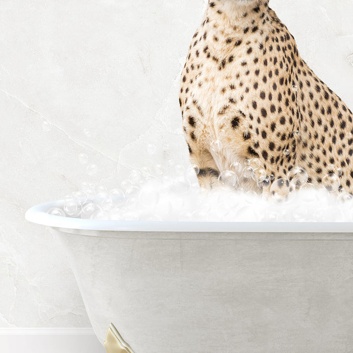 a cheetah sitting in a bathtub full of foam