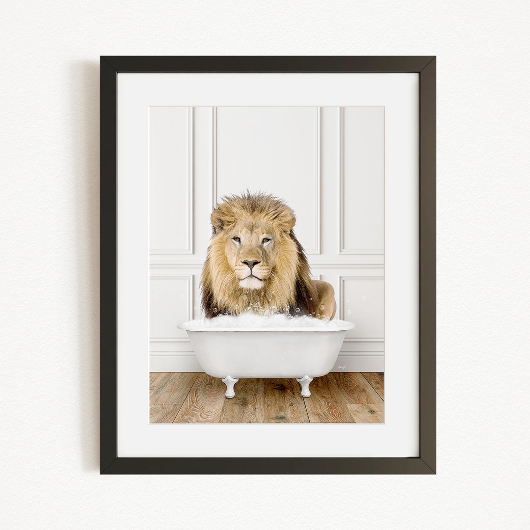 A lion sitting in a white bathtub filled with water, looking directly at the camera.