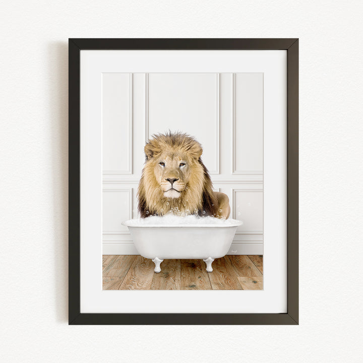 A lion sitting in a white bathtub filled with water, looking directly at the camera.