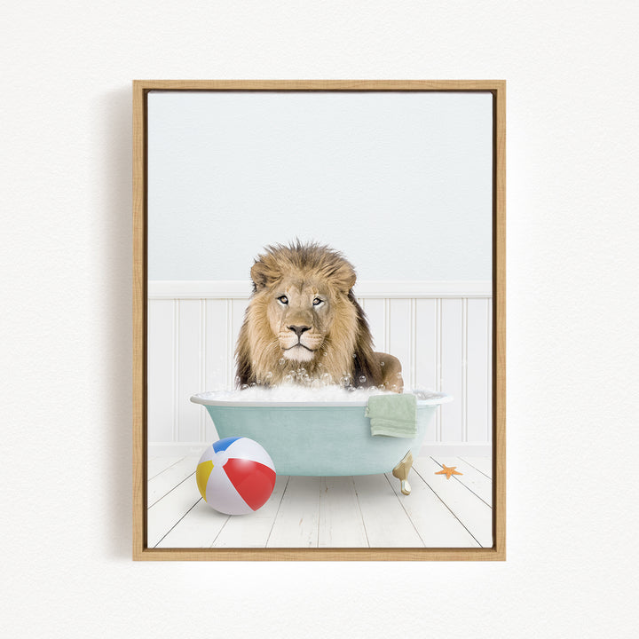 A lion sitting in a bathtub filled with water, surrounded by a beach ball and a towel.
