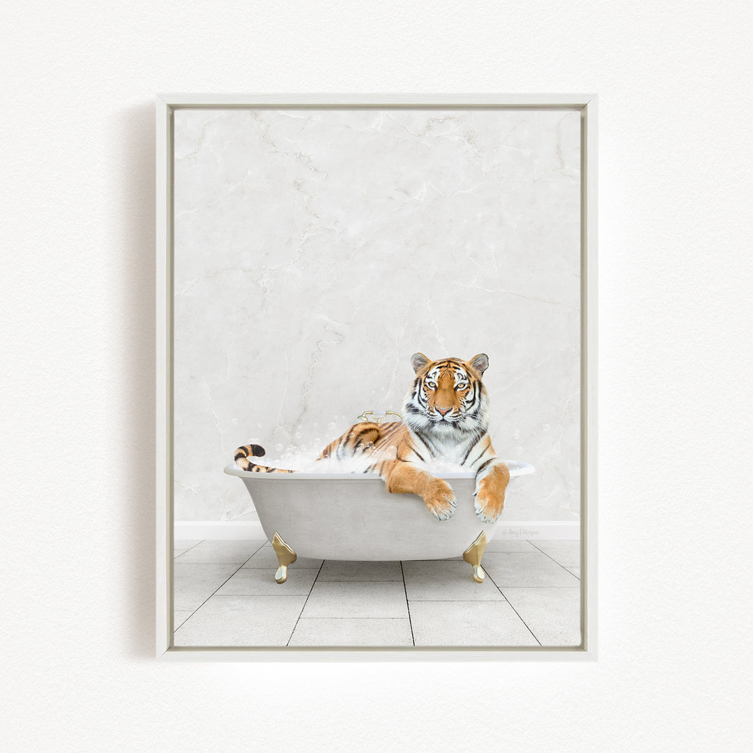 A tiger is sitting in a white bathtub, appearing relaxed and comfortable.