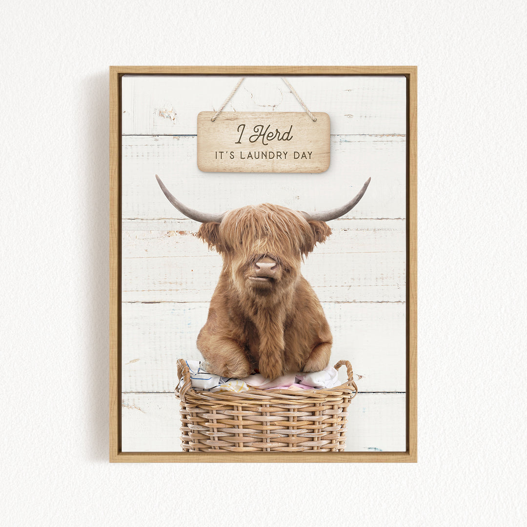 A framed image of a Highland cow sitting in a wicker basket, with a sign above it that says "It's laundry day".