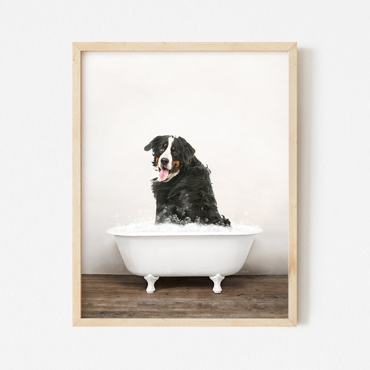 a black and white dog sitting in a bathtub