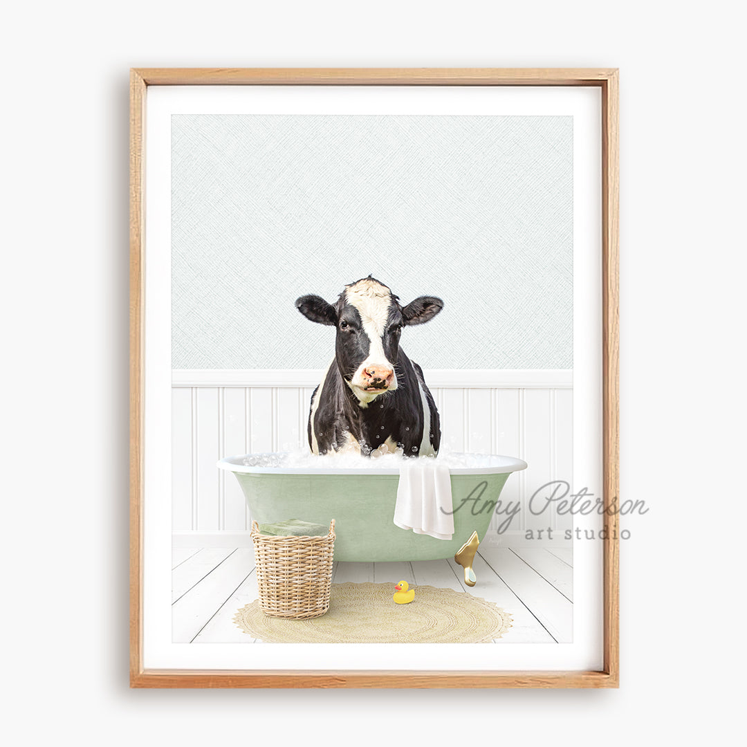 a black and white cow sitting in a bathtub