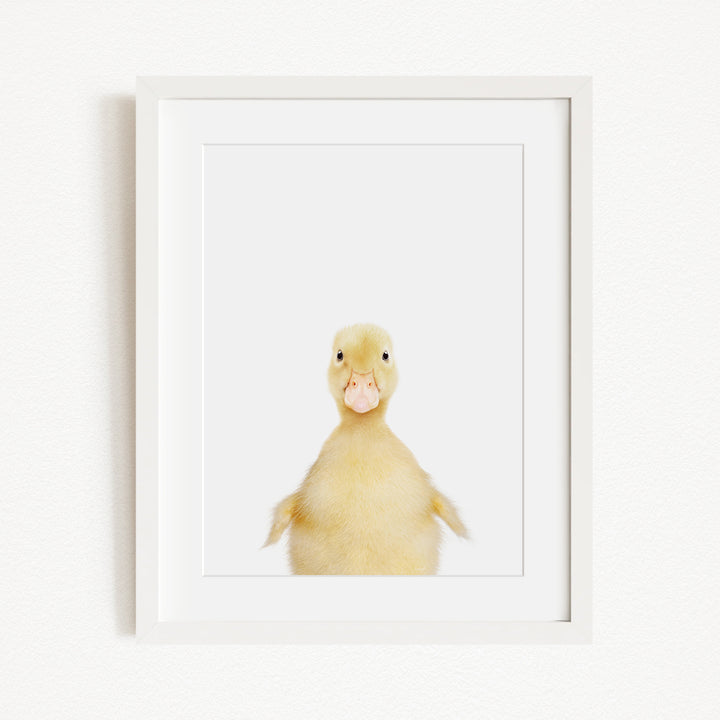 A cute yellow duck with a pink beak is the main subject of the framed image.