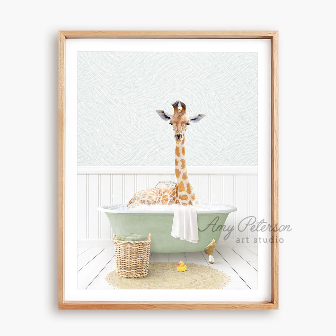 a picture of a giraffe sitting in a bathtub