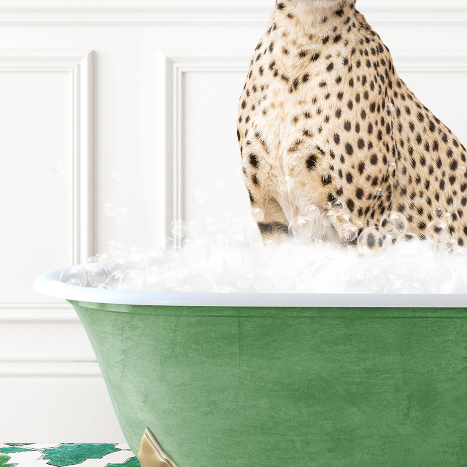 a cheetah sitting in a bathtub full of foam