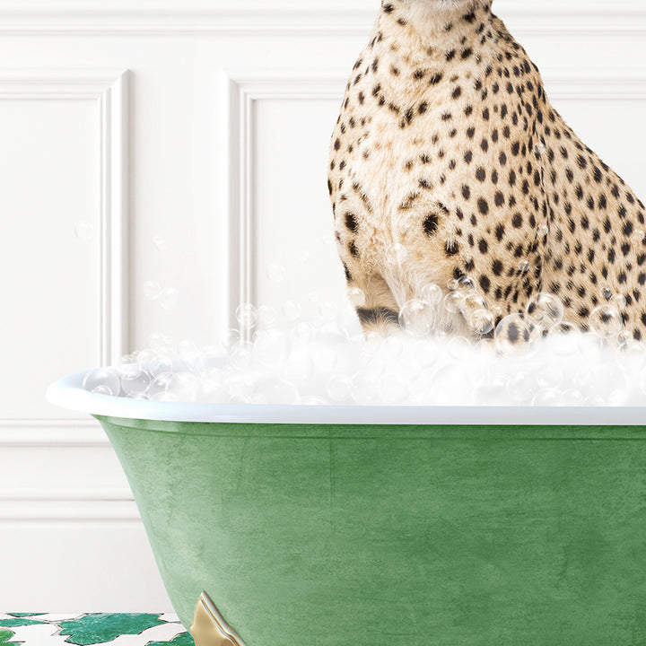 a cheetah sitting in a bathtub full of foam