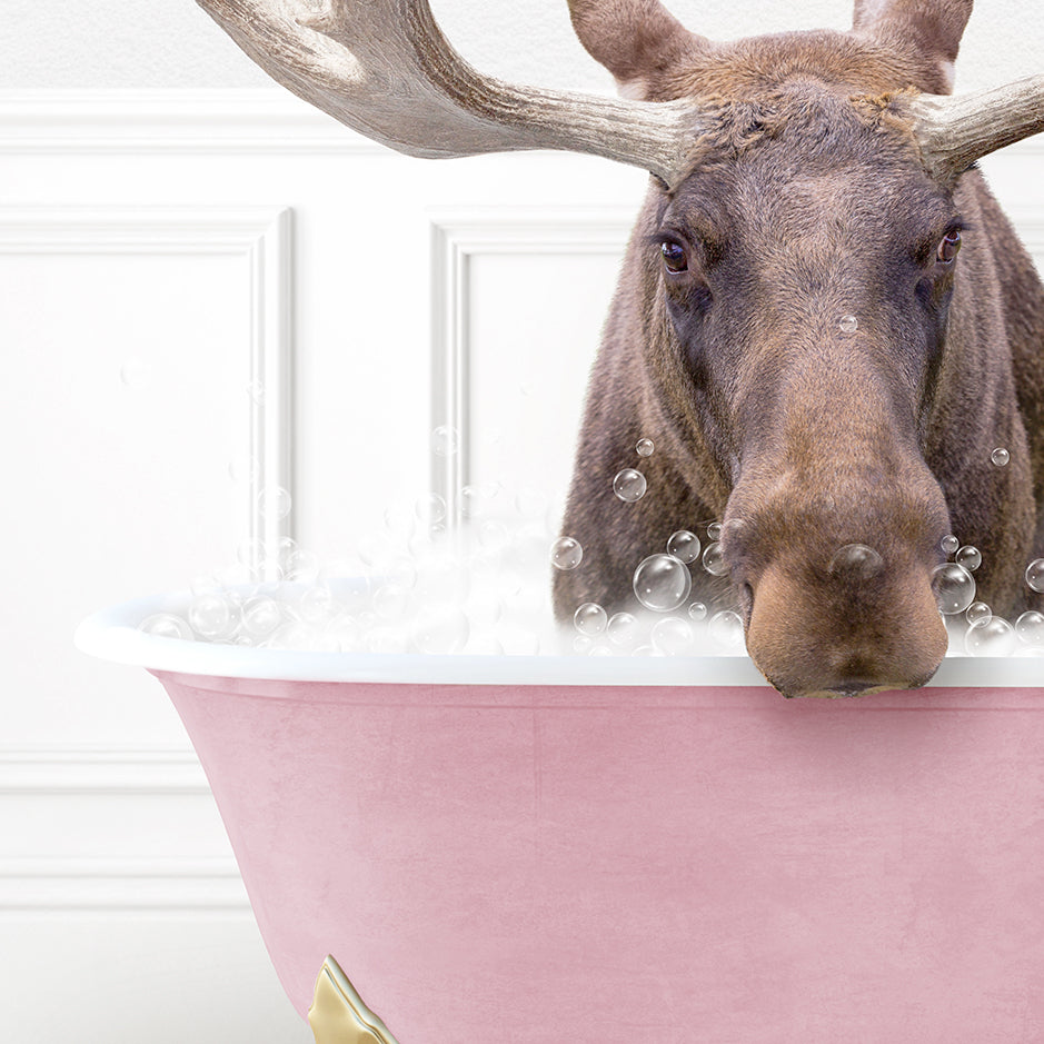 a moose sticking its head out of a bathtub