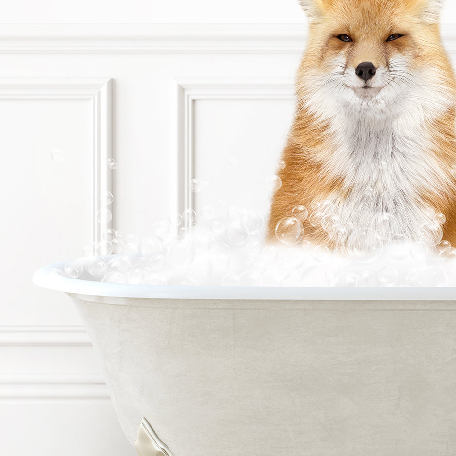 a fox sitting in a bathtub full of bubbles