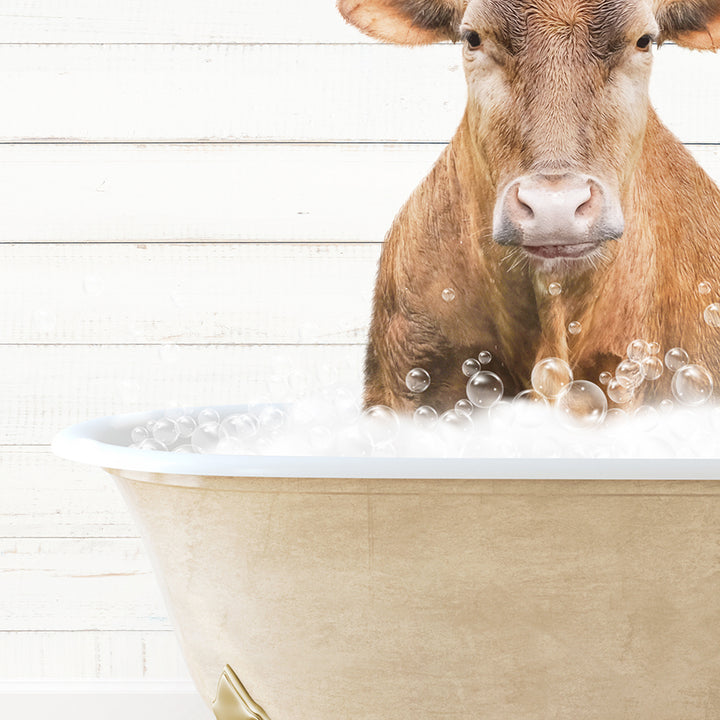 a brown cow sitting in a bath tub filled with bubbles