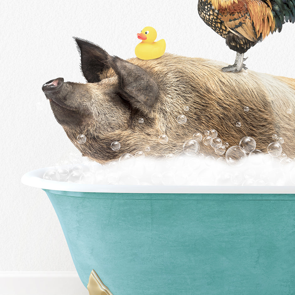 a pig in a bathtub with a rubber duck on top of it