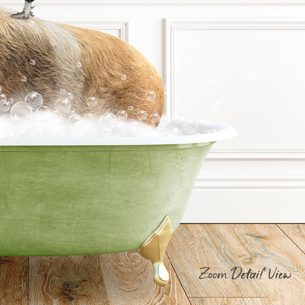 A dog is sitting in a green bathtub filled with bubbles, with a wooden floor visible in the background.