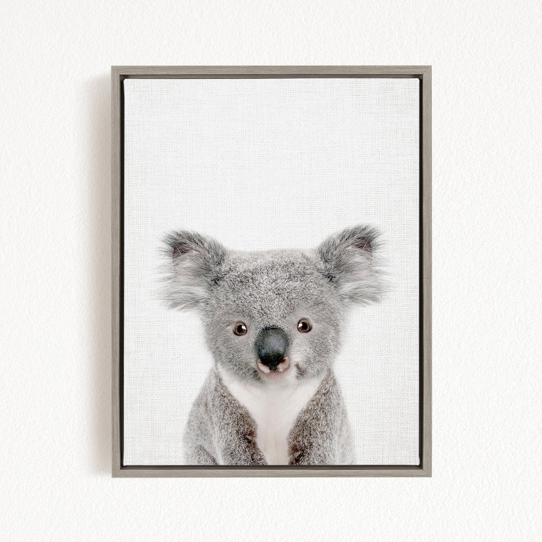 A framed photograph of a koala bear with a neutral expression, looking directly at the camera.