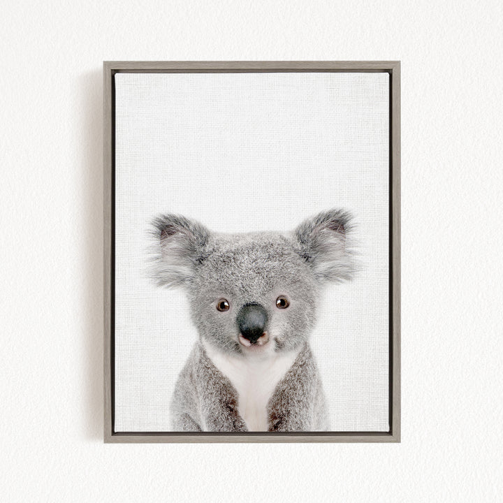 A framed photograph of a koala bear with a neutral expression, looking directly at the camera.