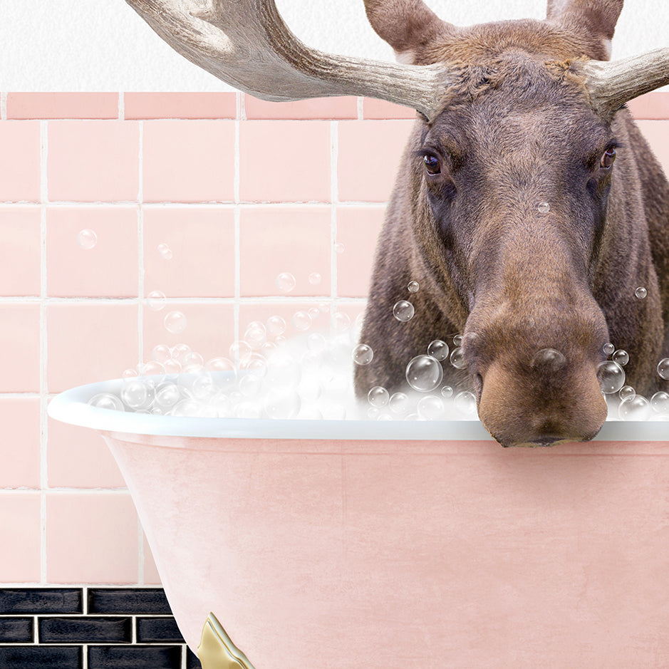 a moose sticking its head out of a bathtub