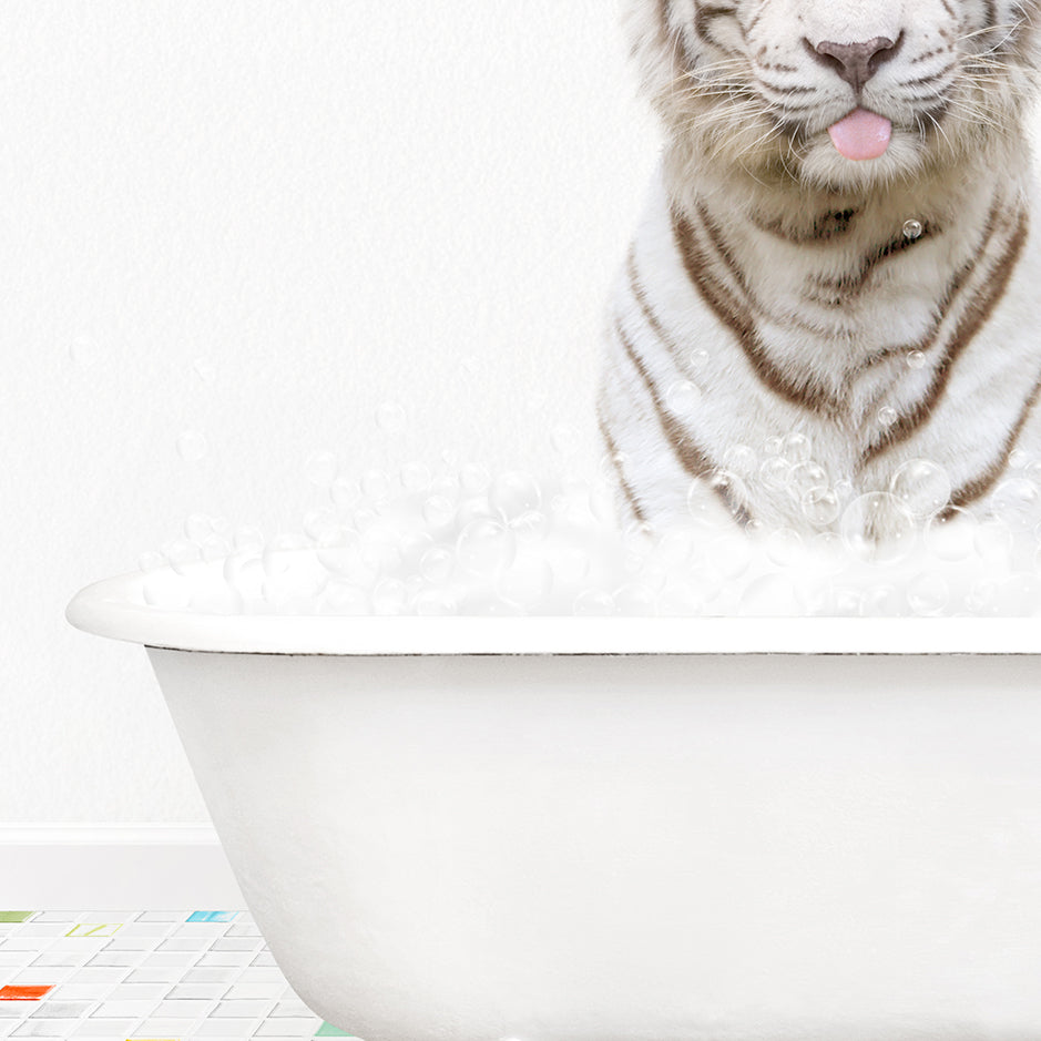 a white tiger sticking its tongue out in a bathtub