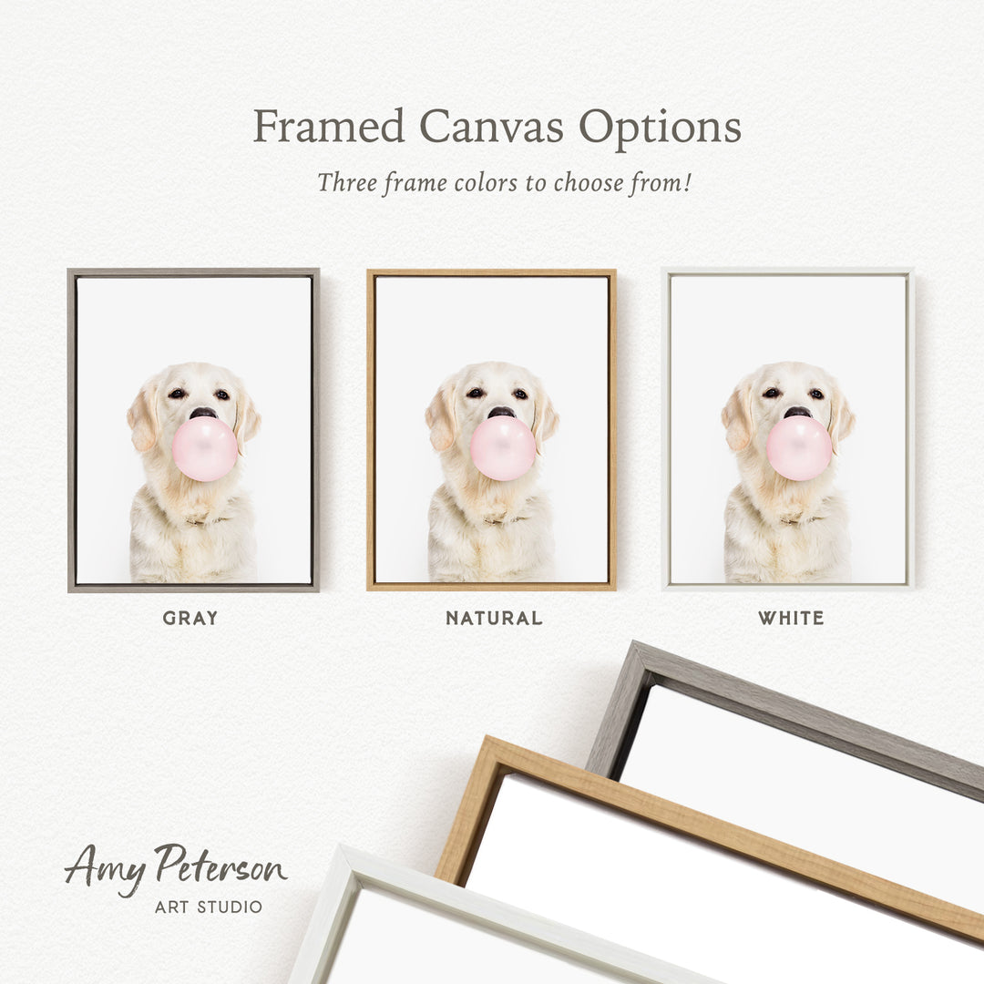 three framed canvas options for a picture of a dog with a pink bubblegum bubble. The options include a gray frame, a natural frame, and a white frame.