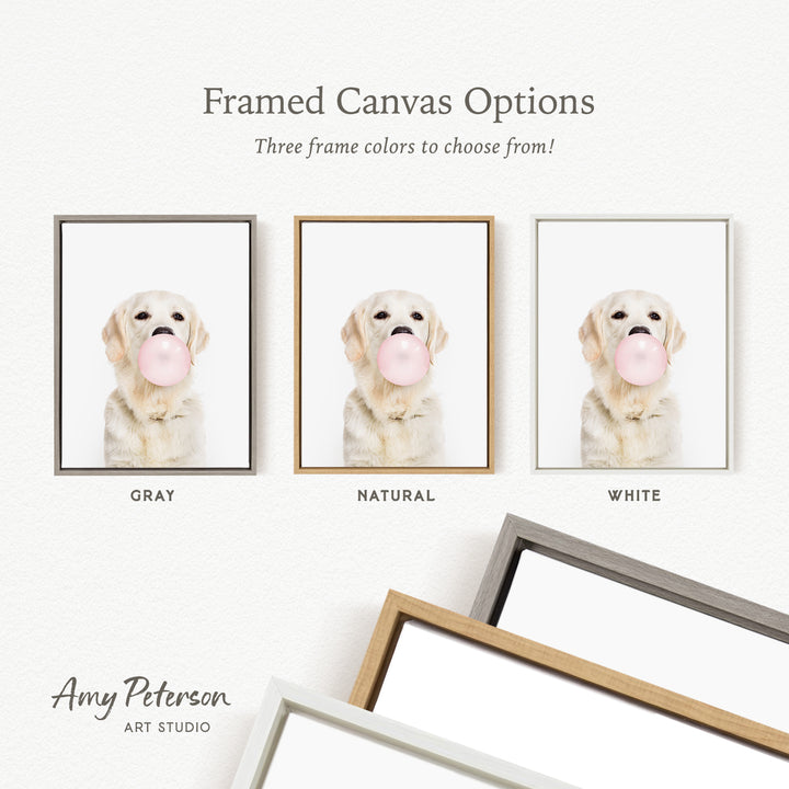 three framed canvas options for a picture of a dog with a pink bubblegum bubble. The options include a gray frame, a natural frame, and a white frame.