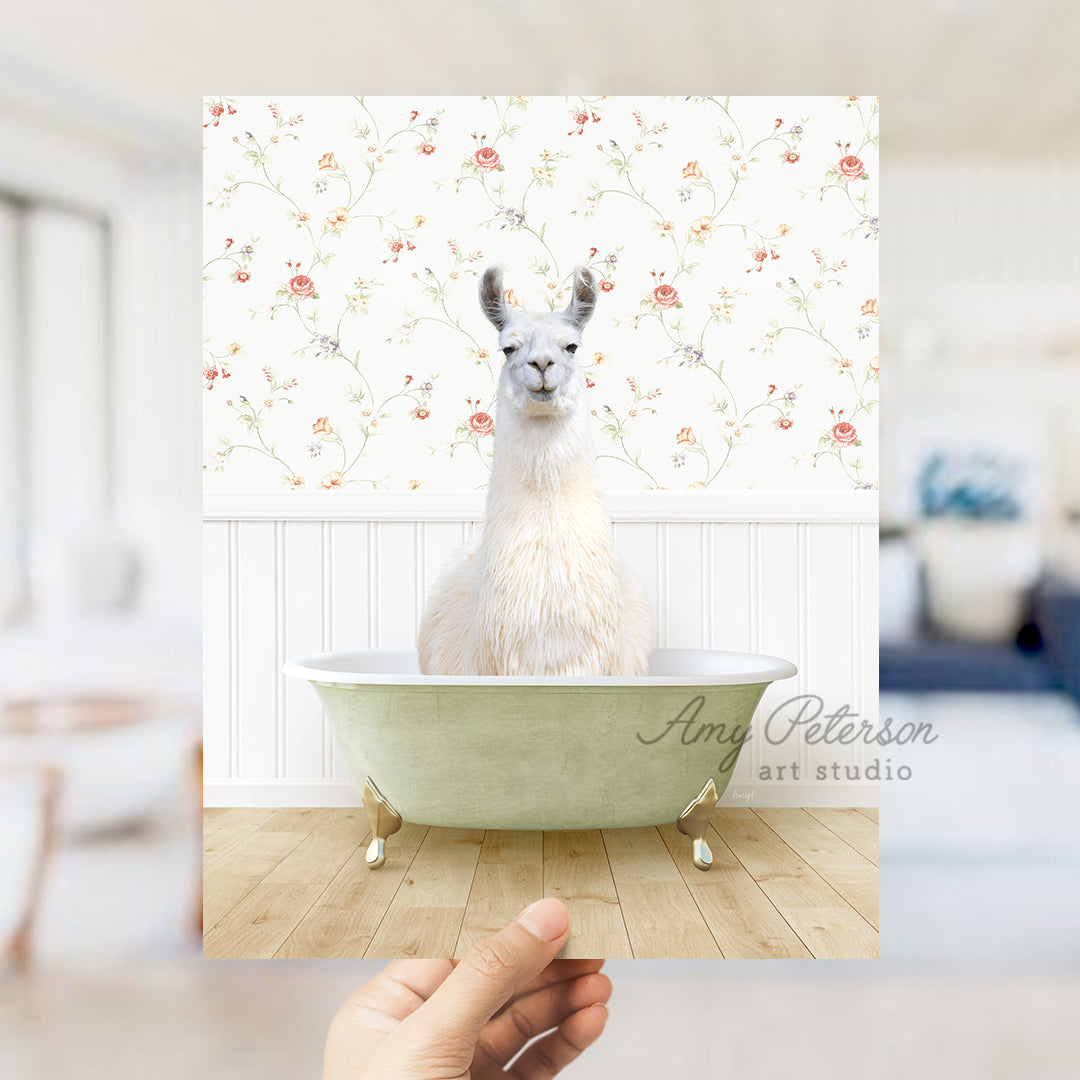 a llama sitting in a bathtub in a room