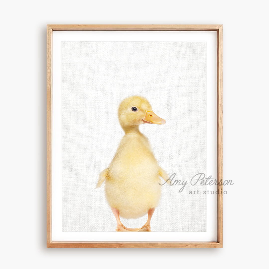 a picture of a yellow duckling in a wooden frame