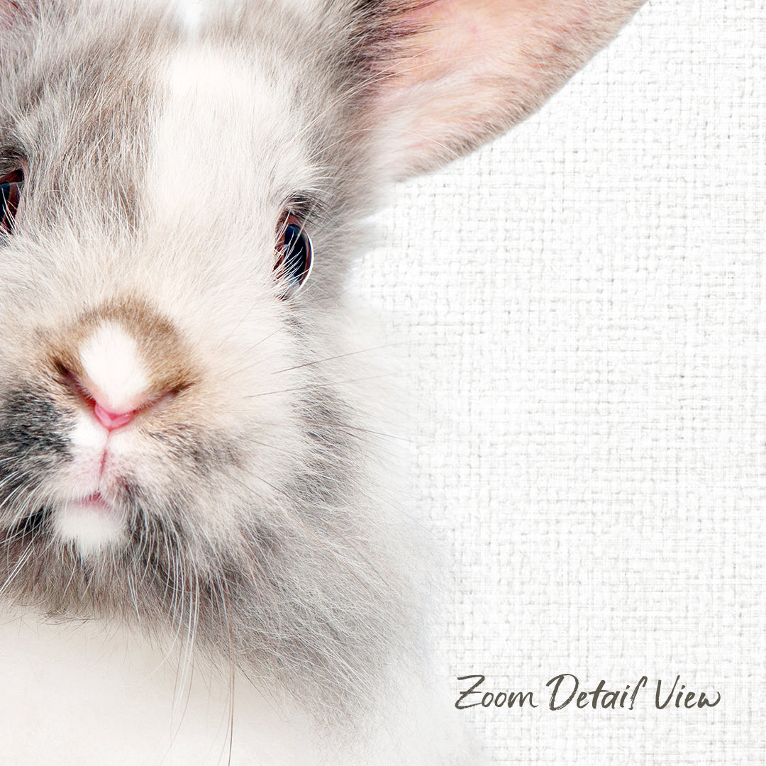 A close-up of a fluffy white rabbit's face, with its eyes and whiskers clearly visible against a plain white background.