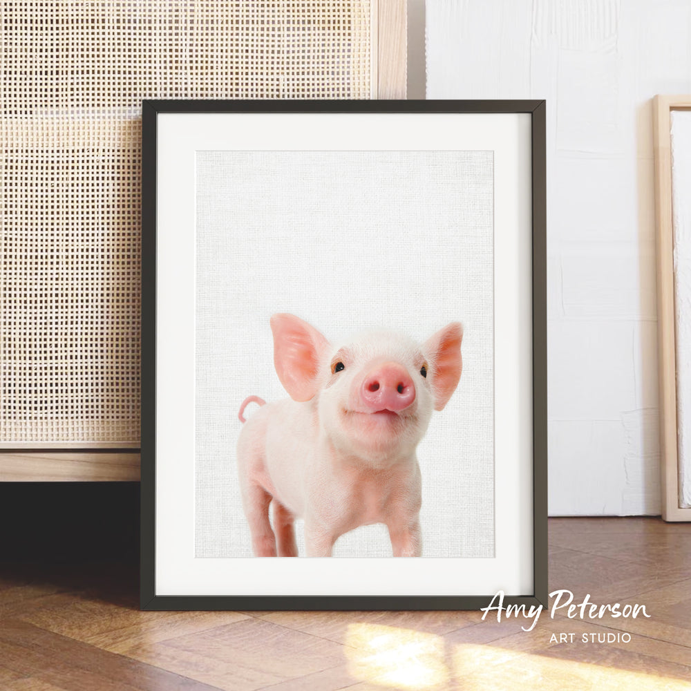 A framed photograph of a cute, pink pig with large ears, standing on a wooden floor against a white background.