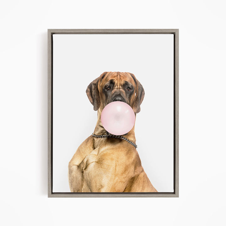 A brown dog with a pink bubble gum bubble in its mouth, wearing a collar, and looking directly at the camera.