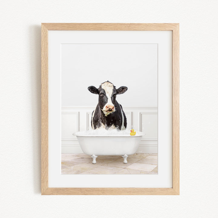 A black and white cow is sitting in a white bathtub filled with water, with a yellow rubber duck floating on the water.