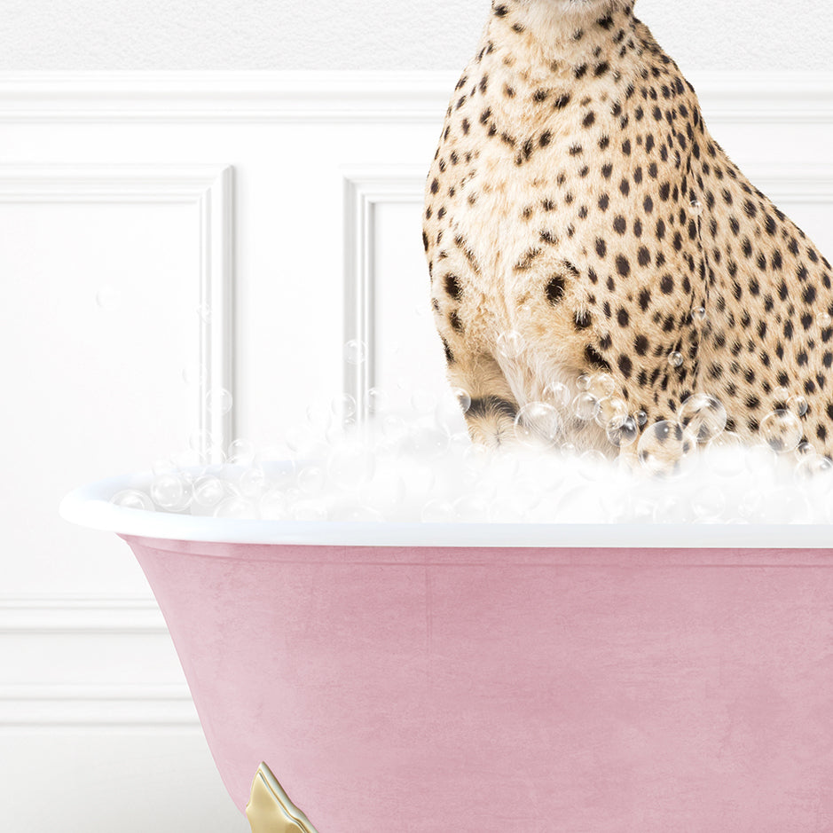 a cheetah sitting in a pink bathtub