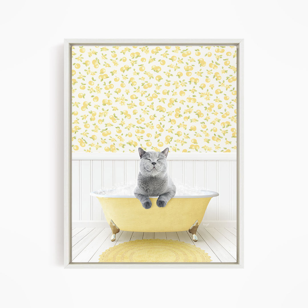 A gray cat sitting in a yellow bathtub, with a yellow floral wallpaper in the background.